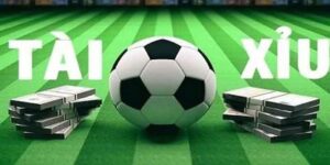 Cách Soi Kèo Tài Xỉu Tại FM88 - Mẹo Hay Cho Mọi Trận Đấu 9 Cách Soi Kèo Tài Xỉu Tại FM88 - Mẹo Hay Cho Mọi Trận Đấu